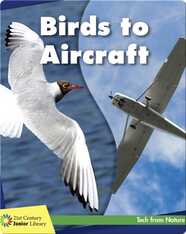 Birds to Aircraft