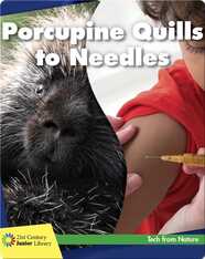 Porcupine Quills to Needles