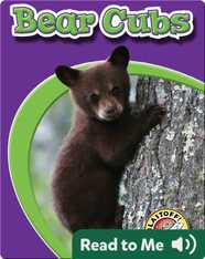 Bear Cubs: Watch Animals Grow