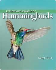 Backyard Wildlife: Hummingbirds Book by Megan Borgert-Spaniol | Epic