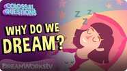 Why Do We Dream? | COLOSSAL QUESTIONS