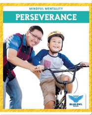 Mindful Mentality: Perseverance