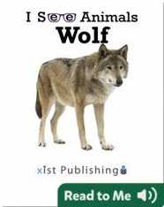 I See Animals: Wolf