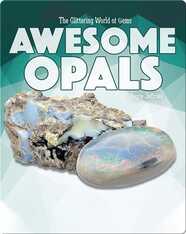 The Glittering World of Gems: Awesome Opals