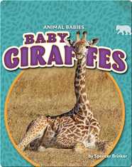 Animal Babies: Baby Giraffes