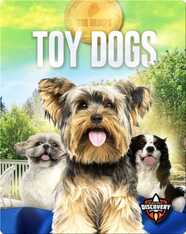 Dog Groups: Toy Dogs