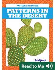 Patterns in the Desert