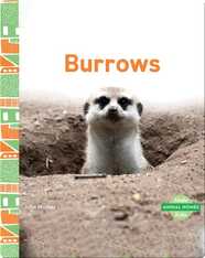 Animal Homes: Burrows
