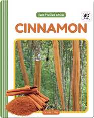 How Foods Grow: Cinnamon