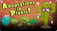 The Dr. Binocs Show: Adaptations In Plants