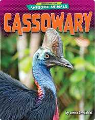 Awesome Animals: Cassowary