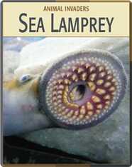 Animal Invaders: Sea Lamprey