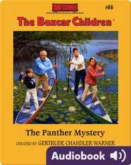 The Panther Mystery