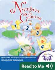 The Numbers and Counting Collection