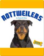 Rottweilers