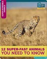 12 Super-Fast Animals You Need To Know