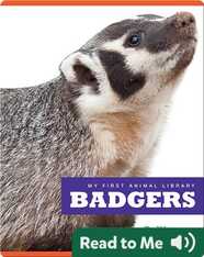 My First Animal Library: Badgers