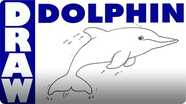 Learn How to Draw a Dolphin