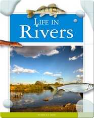 Life in Rivers