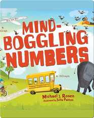 Mind-Boggling Numbers