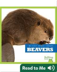 My First Animal Library: Beavers