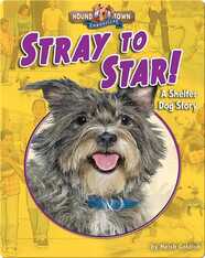 Stray to Star! A Shelter Dog Story