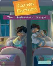 The Nighttime Noise