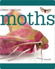 Moths