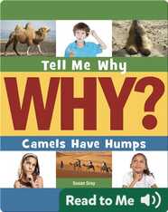Camels Have Humps