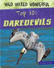 Top 10: Daredevils