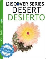 Desert / Desierto