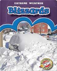 Blizzards