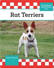 Rat Terriers