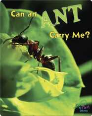 Can An Ant Carry Me?