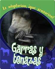 Garras y tenazas