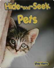 Hide and Seek Pets