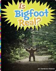 Is Bigfoot Real?