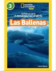 National Geographic Readers: Grandes Migraciones: Las Ballenas (Great Migrations: Whales)