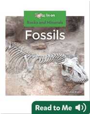 Fossils