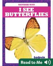 I See Butterflies