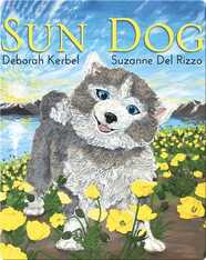 Sun Dog