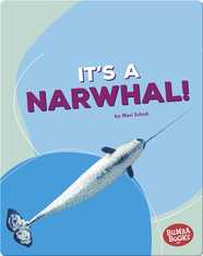 It's a Narwhal!