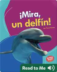 ¡Mira, un delfín! (Look, a Dolphin!)