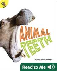 Animal Teeth