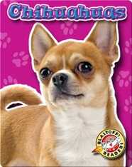 Chihuahuas: Dog Breeds