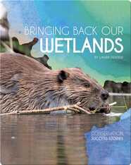 Bringing Back Our Wetlands