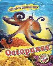 Animals of the Coral Reefs: Octopuses
