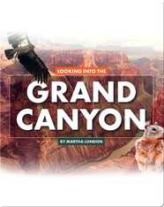 Looking at Layers: Looking Into the Grand Canyon