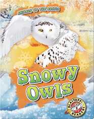 Animals of the Arctic: Snowy Owls