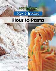 How It Is Made: Flour to Pasta
